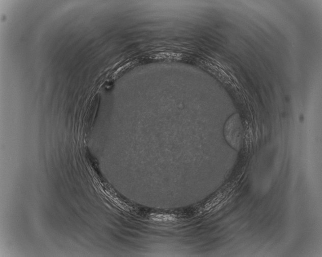 X0000085270649200703231742