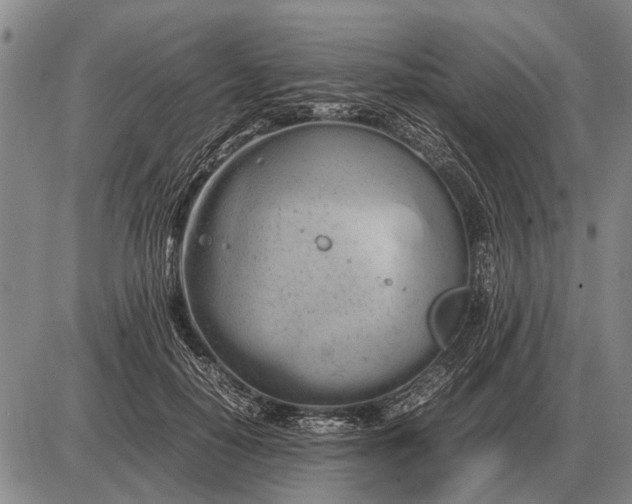 X0000085270650200703231742