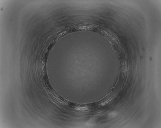 X0000085270653200703231742