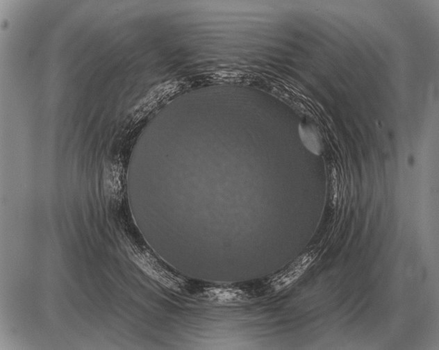 X0000085270654200703231742