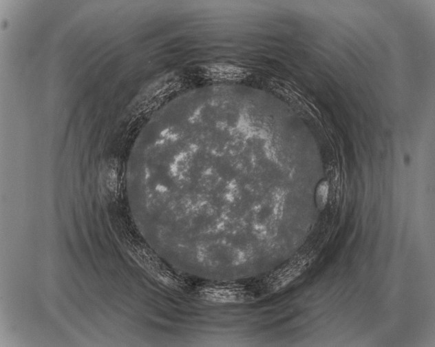 X0000085270655200703231742