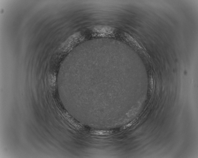 X0000085270657200703231742