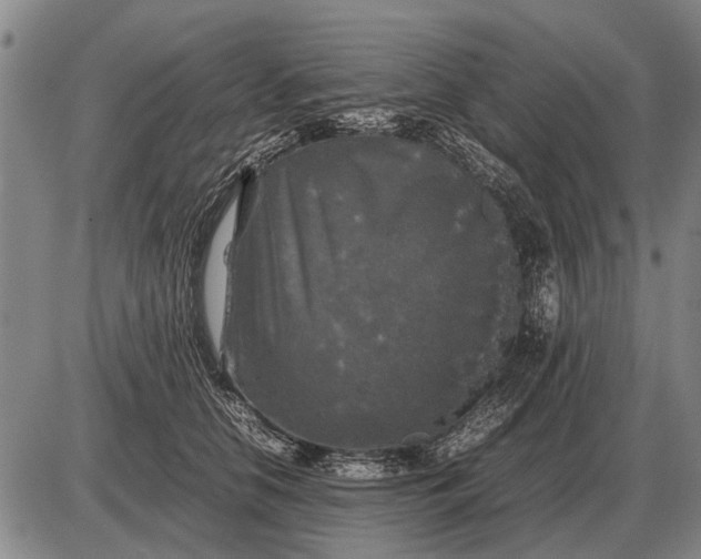 X0000085270658200703231742