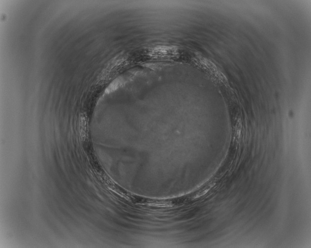 X0000085270659200703231742