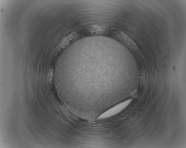 X0000085270660200703231742