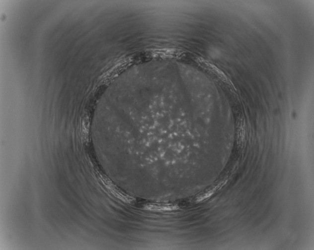 X0000085270661200703231742