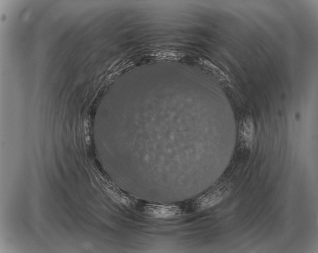 X0000085270663200703231742