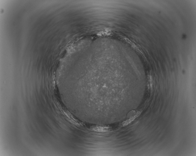 X0000085270664200703231742