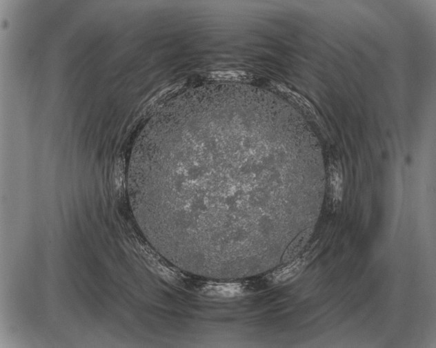 X0000085270665200703231742