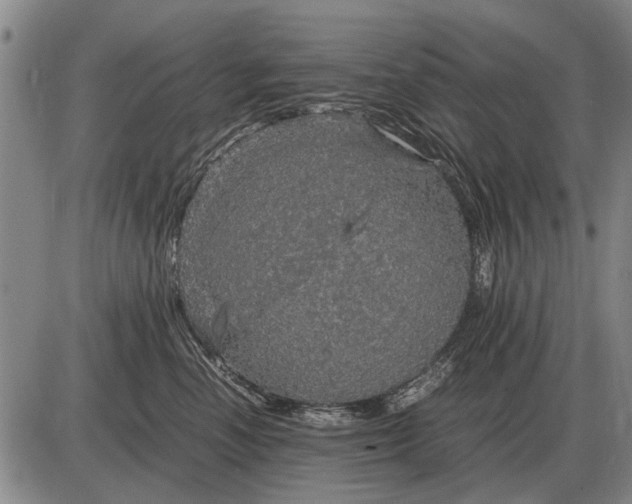 X0000085270666200703231742