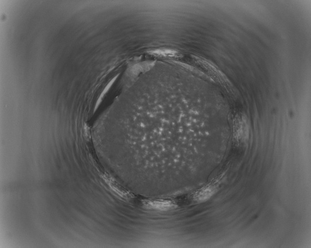 X0000085270669200703231742