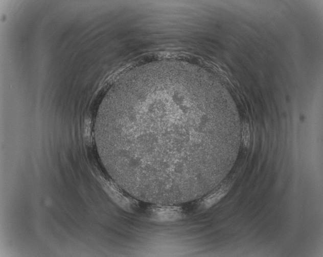 X0000085270670200703231742