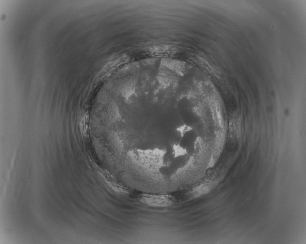 X0000085270671200703231742