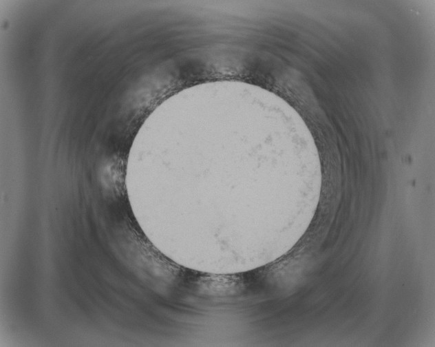 X0000085270672200703231742