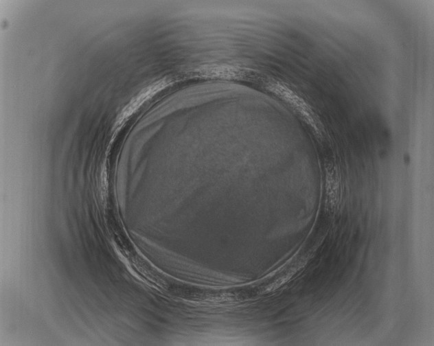 X0000085270674200703231741