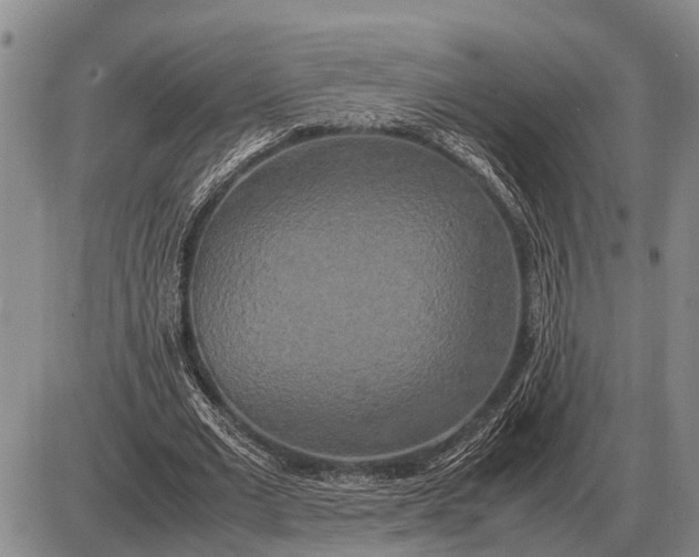 X0000085270677200703231741