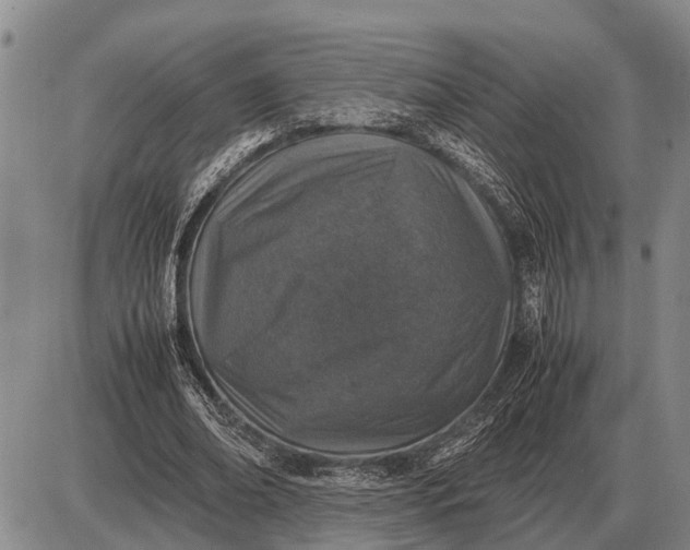 X0000085270678200703231741