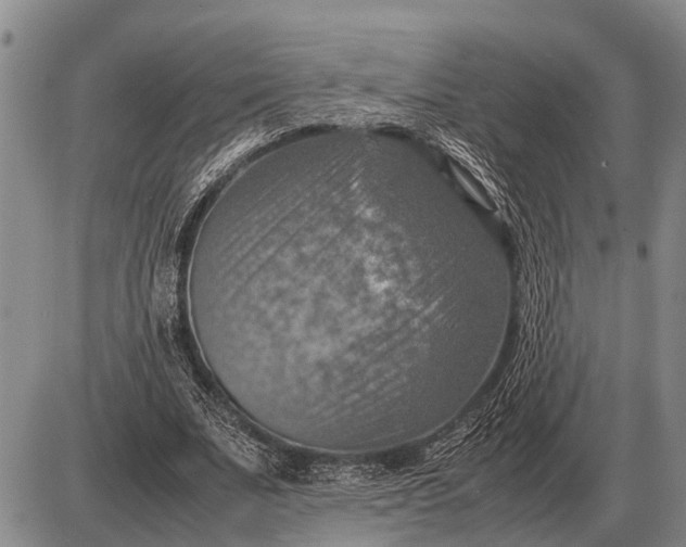 X0000085270679200703231741