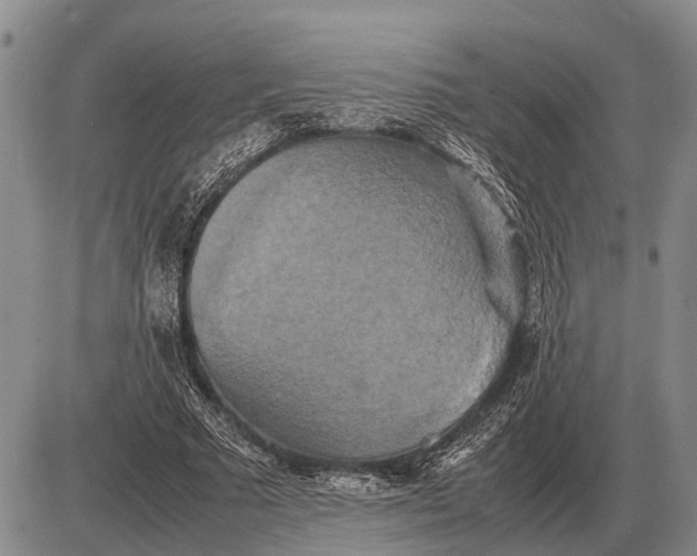 X0000085270681200703231741