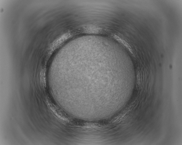 X0000085270682200703231741