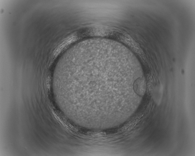 X0000085270683200703231741