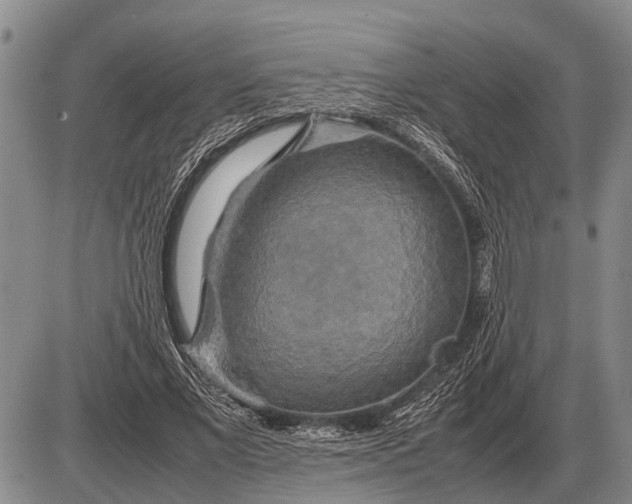 X0000085270685200703231741