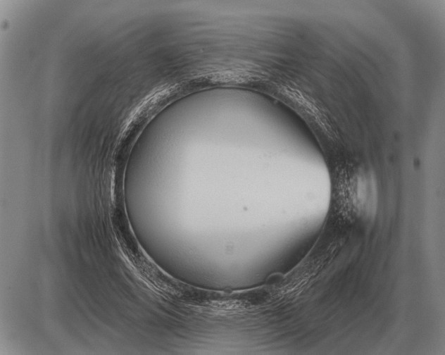 X0000085270686200703231741