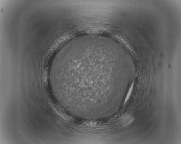 X0000085270687200703231741