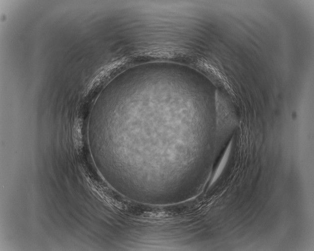 X0000085270688200703231741