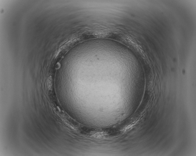 X0000085270689200703231741