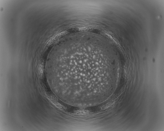 X0000085270691200703231741