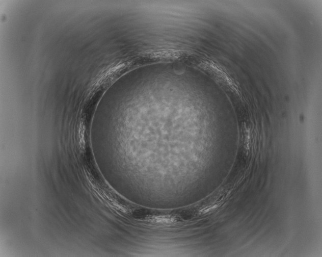 X0000085270692200703231741