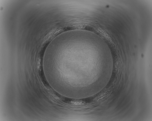 X0000085270693200703231741