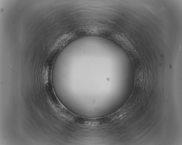 X0000085270694200703231741