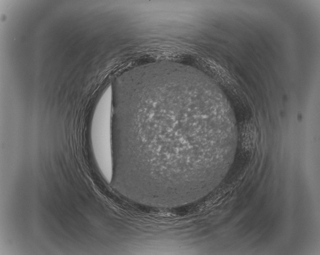 X0000085270695200703231741