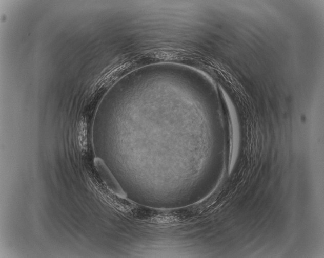 X0000085270696200703231741