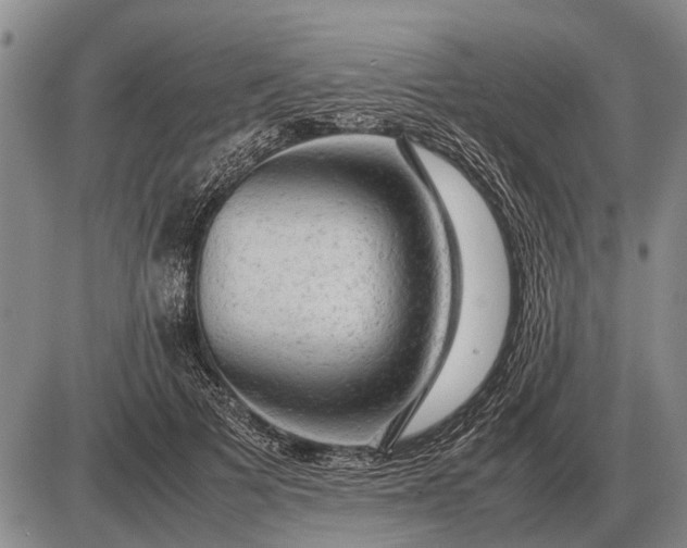 X0000085270697200703231741