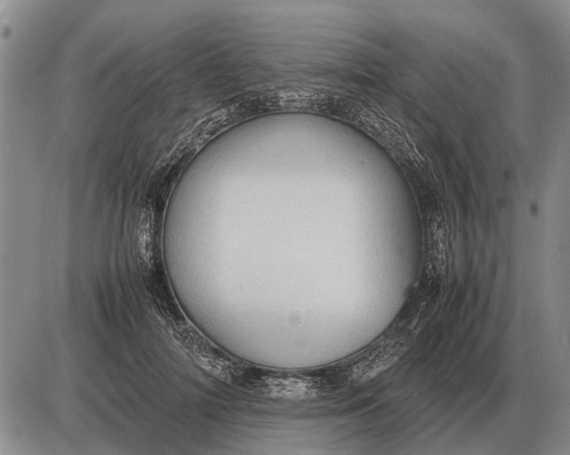 X0000085270698200703231741