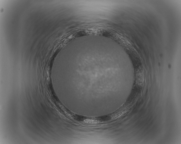 X0000085270699200703231741