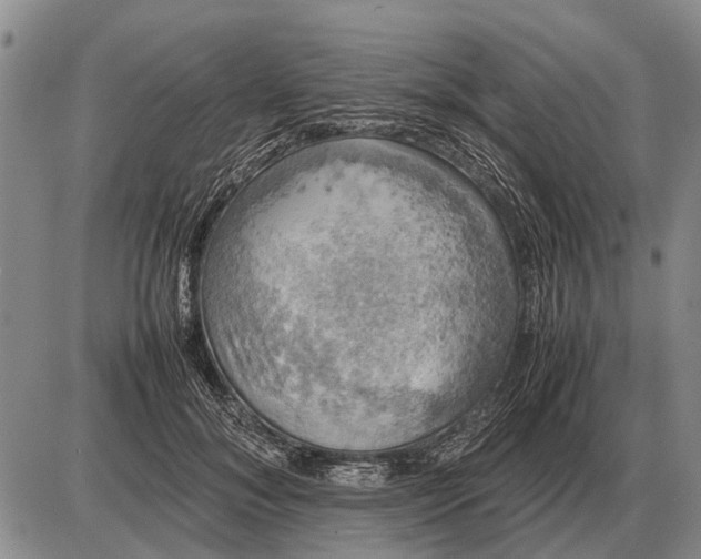 X0000085270700200703231741