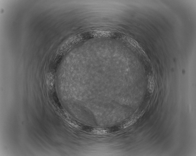 X0000085270701200703231741