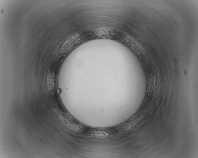 X0000085270702200703231741