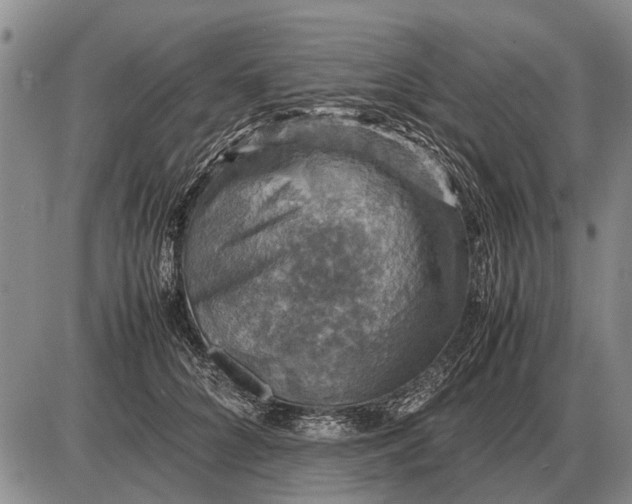 X0000085270704200703231741