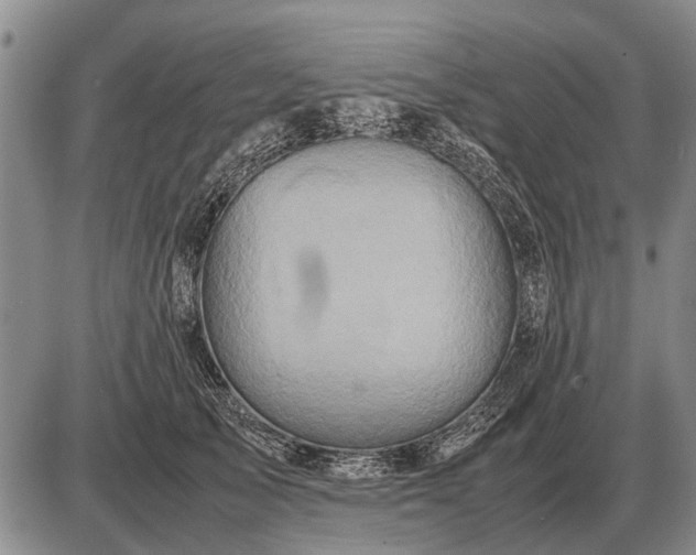 X0000085270705200703231741