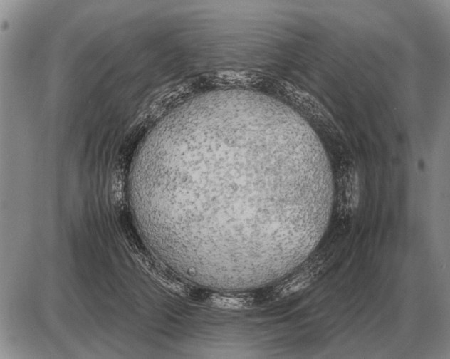 X0000085270706200703231741