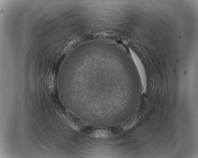 X0000085270708200703231741