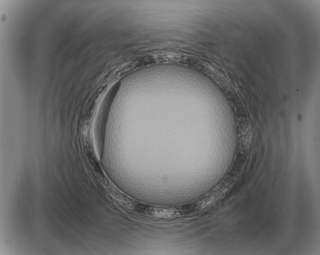 X0000085270709200703231741