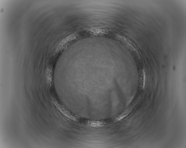 X0000085270710200703231741