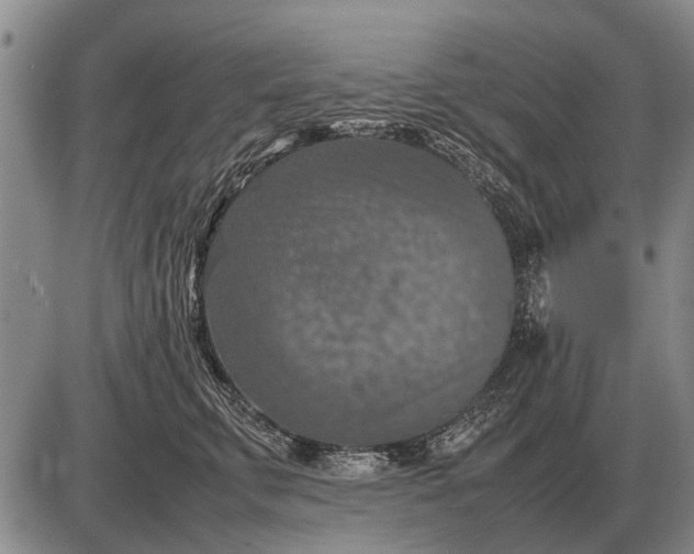 X0000085270711200703231741