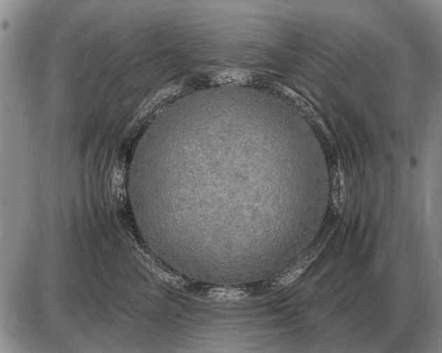 X0000085270714200703231741